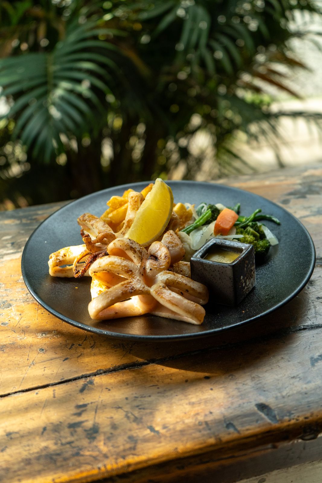 Grilled Calamari